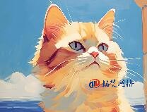 常見的通用頂級(jí)域包括哪些？分別代表什么意思？