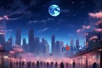 2025 年做網(wǎng)站 SEO 優(yōu)化的意義：解鎖流量增長新密碼